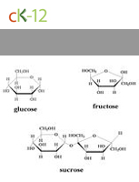 pearson education biology worksheet answers