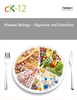 Human Biology - Digestion and Nutrition