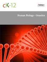 Human Biology - Genetics