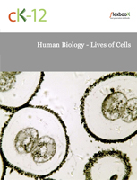 Human Biology - Lives of Cells