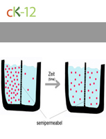 Diffusion