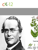 Gregor Mendel and Genetics